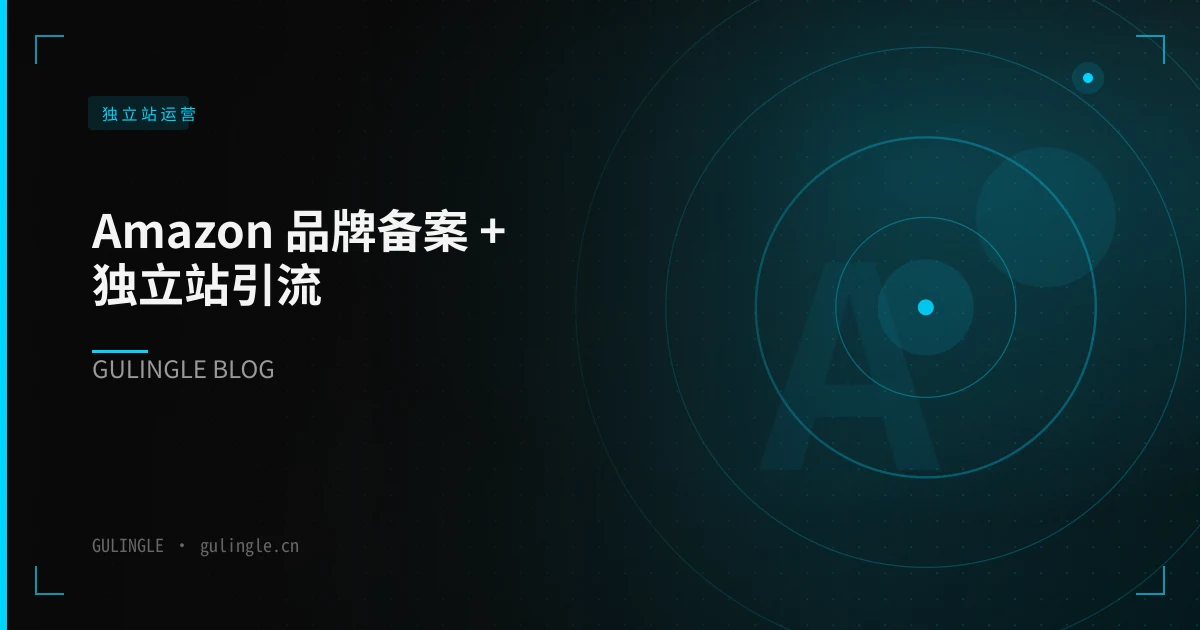 Amazon 品牌备案 + 独立站引流:DTC 双轨增长怎么配