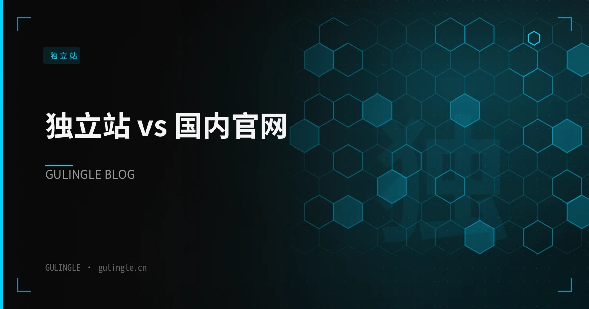 独立站 vs 国内官网:出海卖家应该怎么选?
